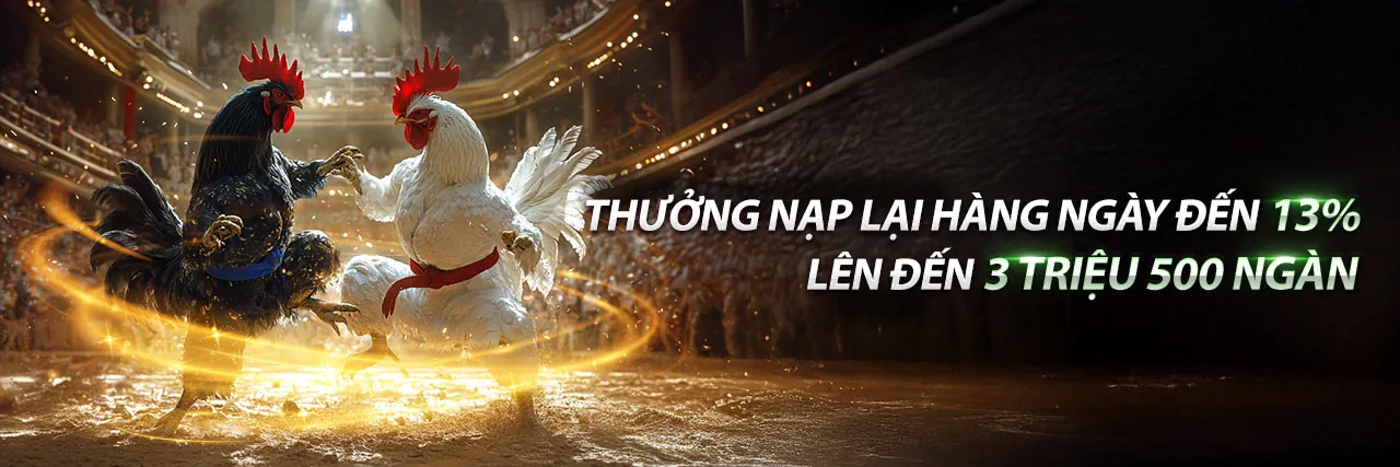 Nền you88. tk với các trò chơi cá cược sôi động